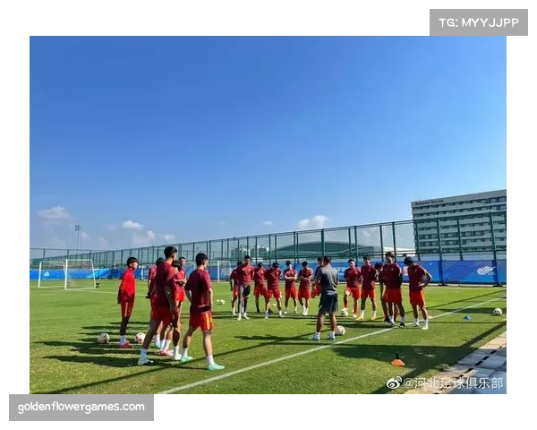 孙兴慜职业态度受赞誉 训练与比赛均全力以赴