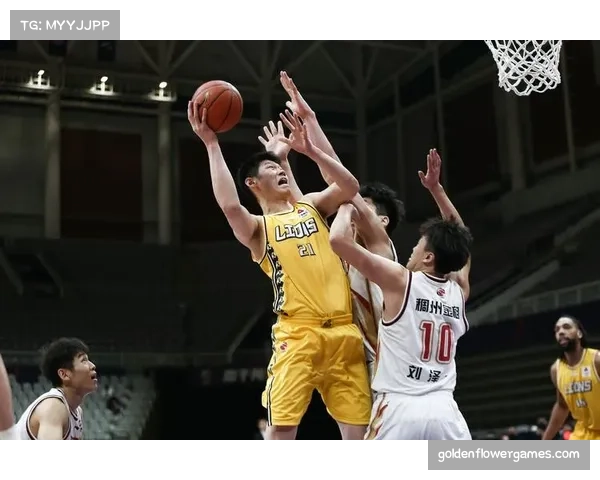 广厦防守效率联盟顶尖 胡金秋内线统治力持续